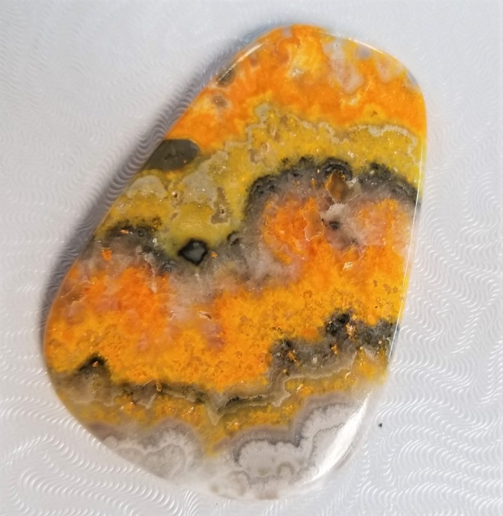 Bumble Bee Jasper The Rock Shop   20201202 120402 2 997x1024 